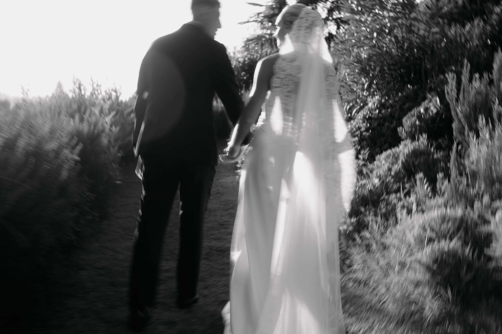 Couple walking hand in hand through an olive grove in Tuscany